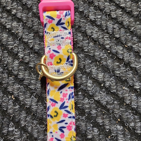 Colorful Collar - Picture 2 of 3